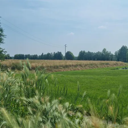 In Campagna Vicino Al Mare Casa de Férias Rivignano